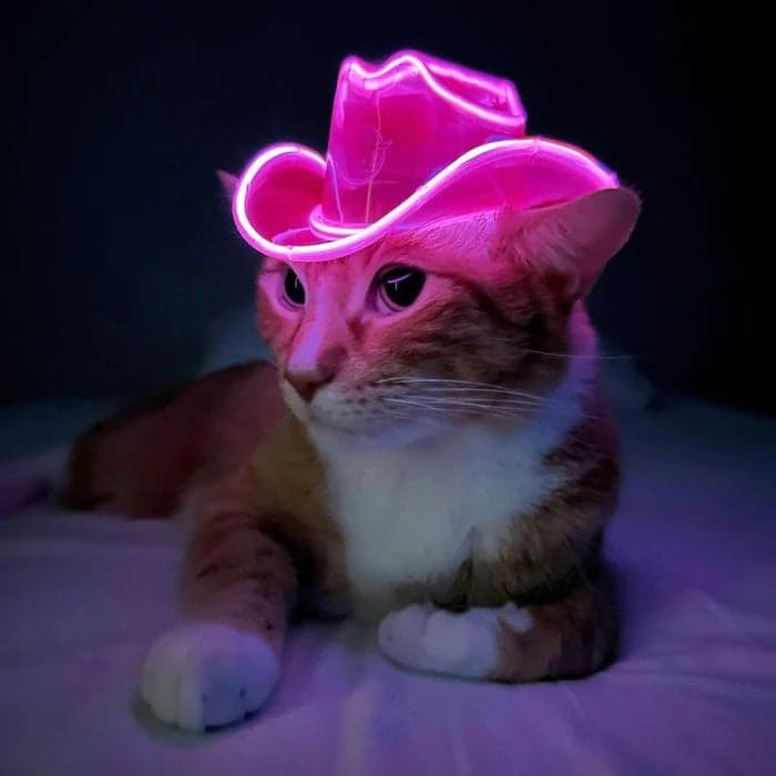 Neon Cowboys® Mini Hats